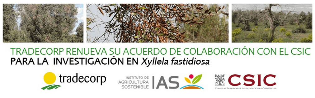 Colaboración con el CSIC|Envase de Atrapa